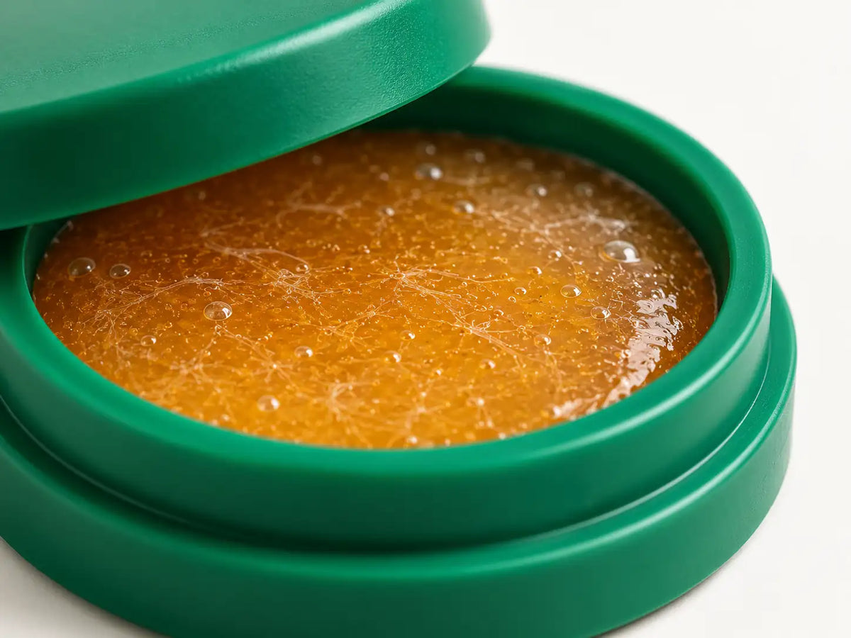 Macro del gel ámbar dentro de la estación de cebo abierta