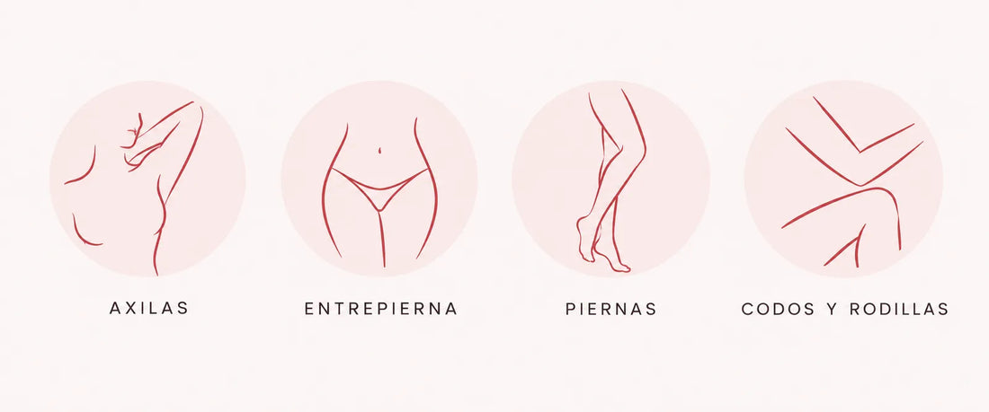 4 íconos de línea: axila, entrepierna, pierna, codo — sin fotos de piel
