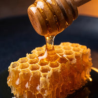Apis mellifera